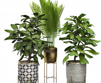 Modern Ground Green Plant Potted Plants-ID:719213965