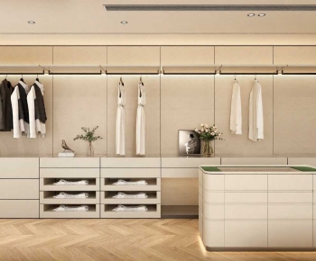 Modern Clothes Storage Area-ID:273268948