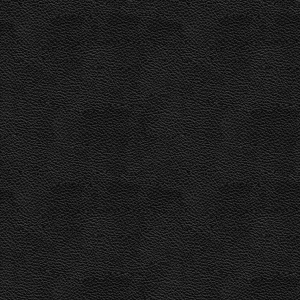 ModernRough Grain Leather