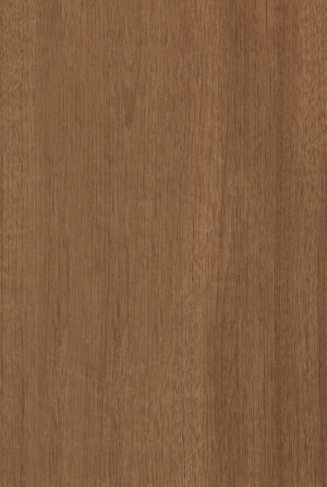 ModernWood Texture