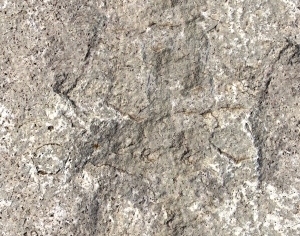 ModernStone Brick Wall