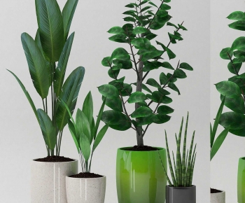 Modern Ground Green Plant Potted Plants-ID:746797087