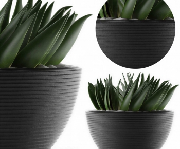 Modern Potted Green Plant-ID:240828049