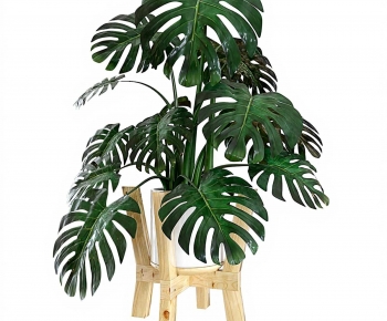 Modern Ground Green Plant Potted Plants-ID:629420043