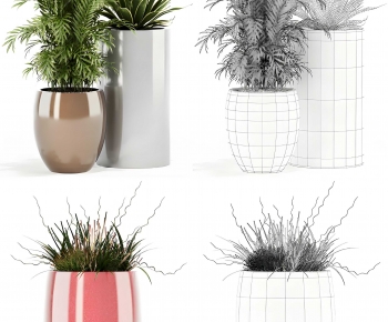 Modern Ground Green Plant Potted Plants-ID:428919083