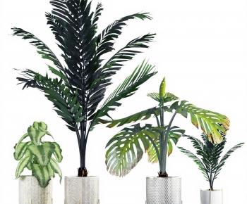 Modern Ground Green Plant Potted Plants-ID:524210939