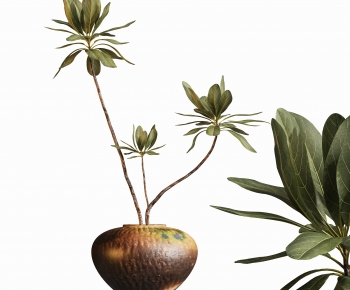 Modern Potted Green Plant-ID:832282073