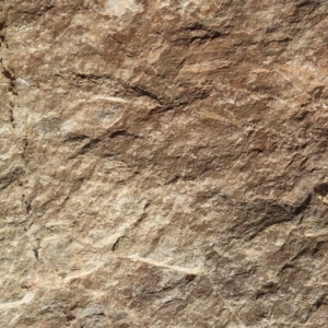 ModernStone Brick Wall