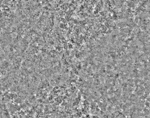 ModernStone Brick Wall