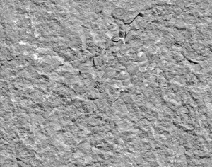 ModernStone Brick Wall