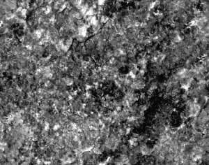 ModernStone Brick Wall