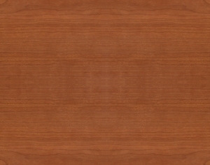 ModernWood Texture