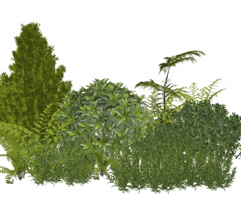 Modern Plant Pile-ID:922662025