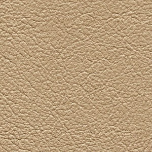 ModernFine Grain Leather