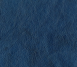 ModernFine Grain Leather