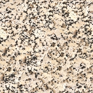 ModernTerrazzo