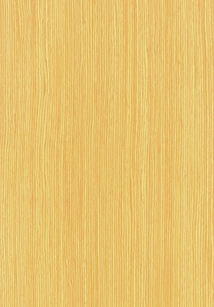 ModernWood Texture