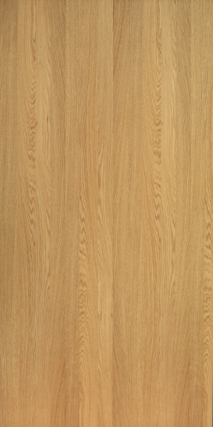 ModernWood Texture