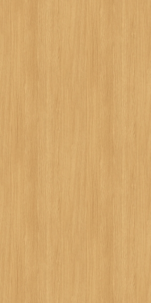ModernWood Texture