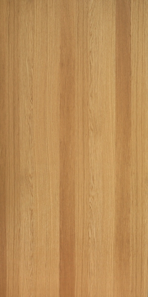 ModernWood Texture