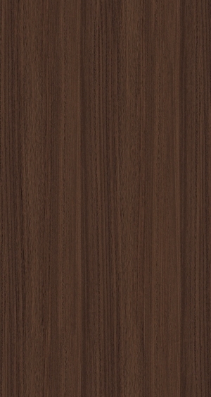 ModernWood Texture