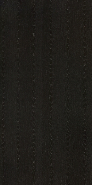 ModernWood Texture