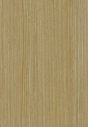 ModernWood Texture