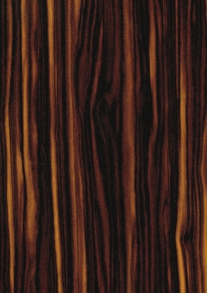 ModernWood Texture