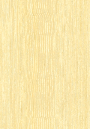 ModernWood Texture