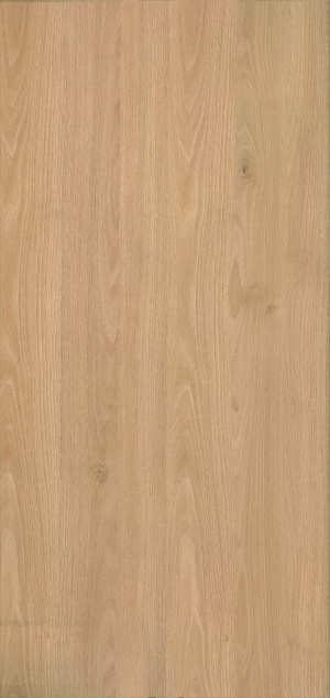 ModernWood Texture