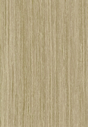 ModernWood Texture