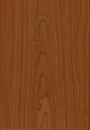 ModernWood Texture