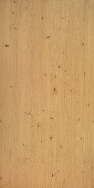ModernWood Texture