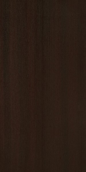 ModernWood Texture