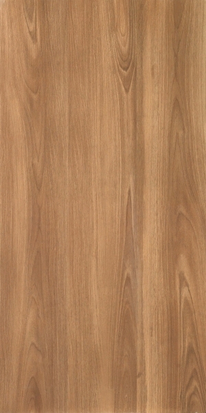 ModernWood Texture