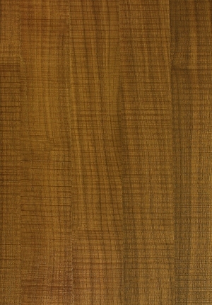 ModernWood Texture