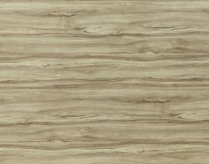 ModernWood Texture