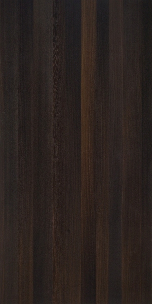ModernWood Texture