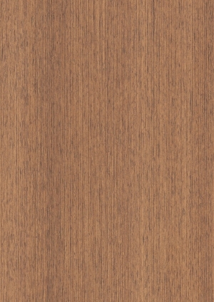 ModernWood Texture