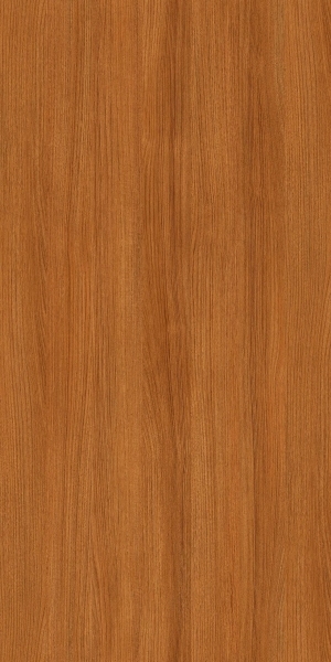 ModernWood Texture