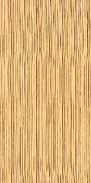 ModernWood Texture
