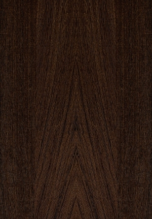 ModernWood Texture