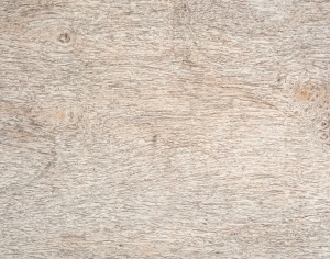 ModernWood Texture