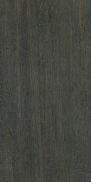 ModernWood Texture