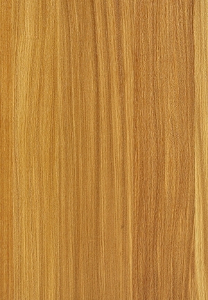 ModernWood Texture