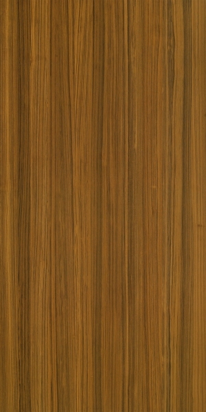 ModernWood Texture