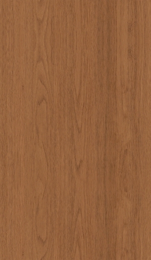 ModernWood Texture
