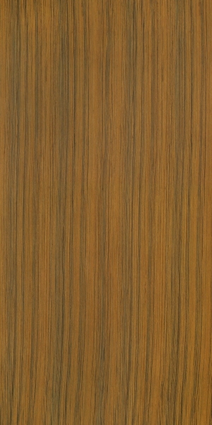 ModernWood Texture