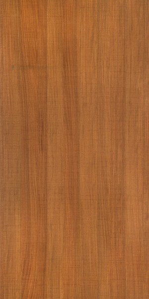ModernWood Texture