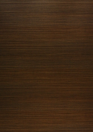 ModernWood Texture